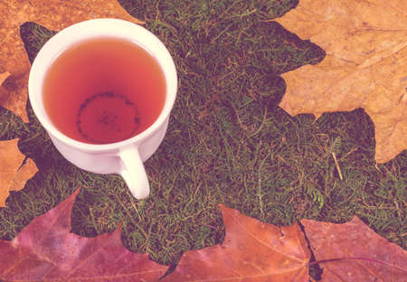 A cup of tea surrounded by autumn leaves on green grass.
