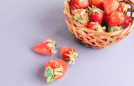 small basket with collected strawberries on a purple backgroundの写真素材