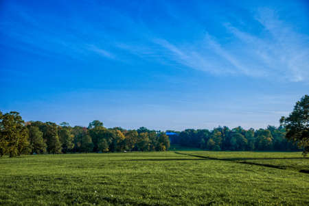 Glade in the park on a sunny day.
