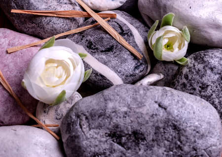Gray stones with buds of white roses. Selective focusの写真素材