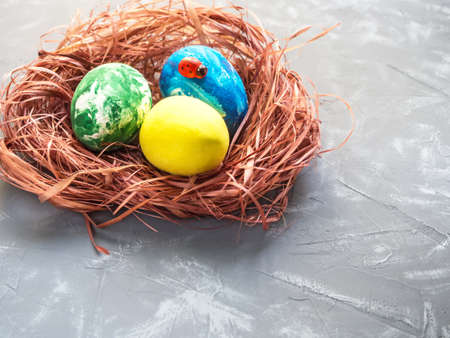 Easter eggs in a nest and white flowers on a gray backgroundの写真素材