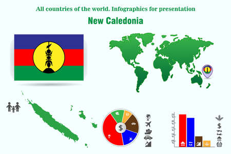 New Caledonia. All countries of the world. Infographics for presentationSet of vectors.のイラスト素材