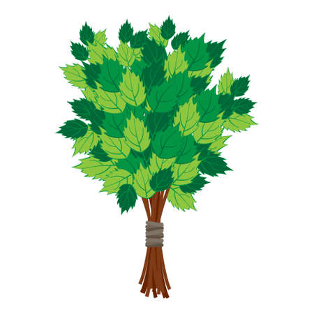 Birch broom for a steam roomのイラスト素材