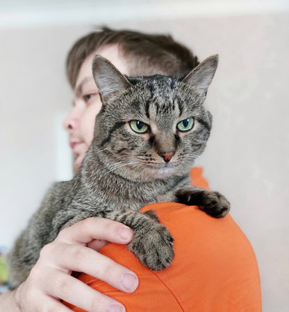 cute cat in the arms of a man. close upの写真素材