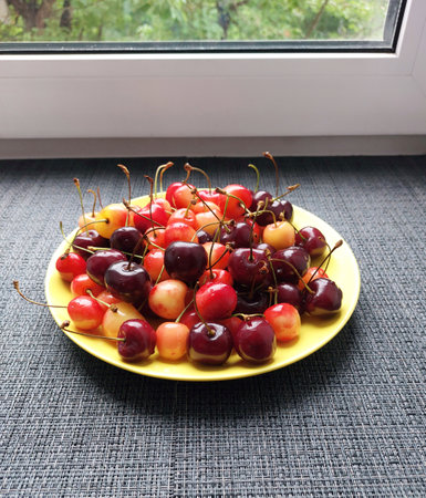 Cherries in a yellow plate on the windowsill, summerの写真素材