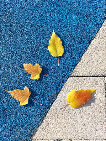 Autumn leaves on the asphalt road, close-up, autumn backgroundの写真素材