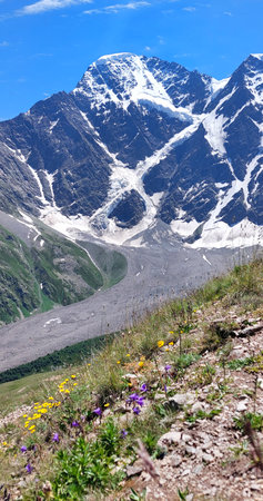 Mountain landscape with flowers in the foreground. Caucasus Mountans.の写真素材