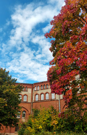 Autumn in the city. Colorful autumn trees and red leavesの写真素材