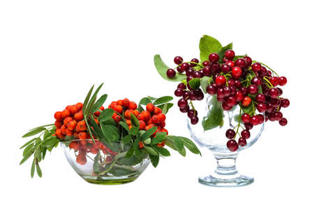 Berry sweet-fruit mountain ash and red cherry in glass vases.の写真素材