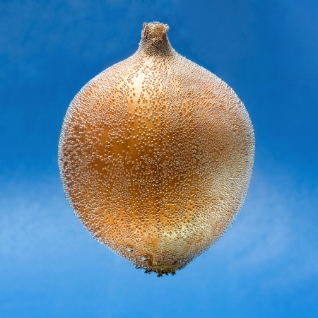 The bow is covered with air bubbles on blue sky background with clouds.の写真素材