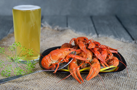 Boiled crawfish with lemon, dill and a light beer. On burlap and blue-grey wooden background.の写真素材