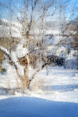 Background garden behind the wet glass,the coming of spring and sunlight.の写真素材