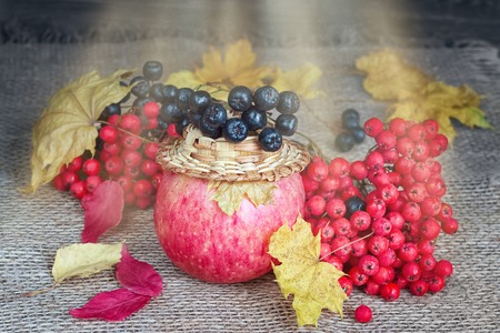Ripe fruit, berries, autumn leaves and the lightの写真素材