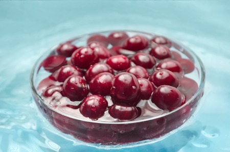 Washed ripe cherries in a bowl of waterの写真素材