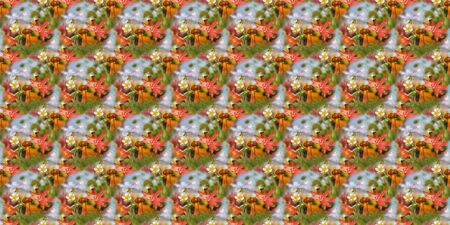 Colorful seamless autumn background with bokeh and mushrooms. Collage of macro photos