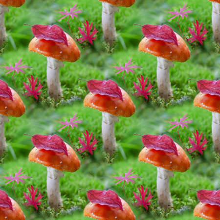 Colorful seamless background with red toadstools on green mossの写真素材