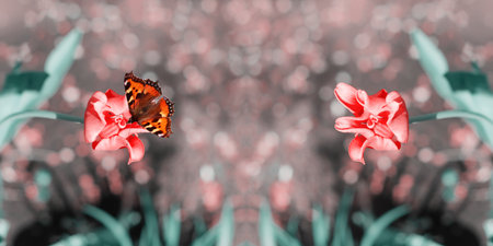 Widescreen defocused background with pink tulips and butterfly. Art design, bannerの写真素材