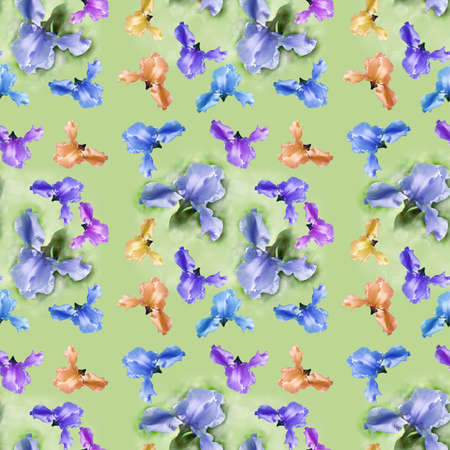 Seamless pattern of spring flowers-irises on a green backgroundの写真素材