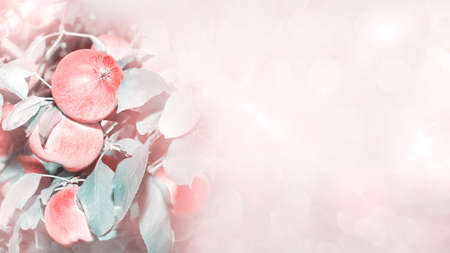 Unfocused background with red apples on the branches