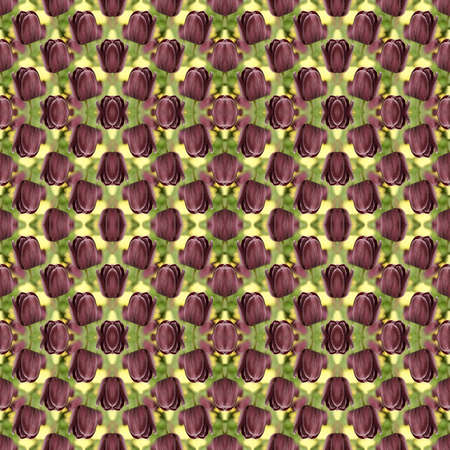 Seamless pattern with blooming dark brown tulips on a defocused natural background. Square framingの写真素材