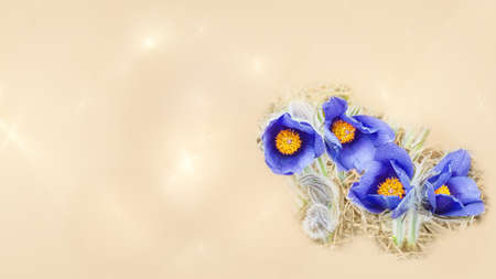 Blooming blue snowdrop, in drops of water after rain on a defocused beige background. Selective focus, Spring conceptの写真素材