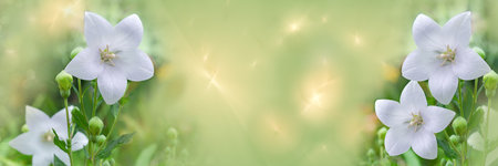 Widescreen defocused background with white bells. Fractal overlay, selective focus.の写真素材