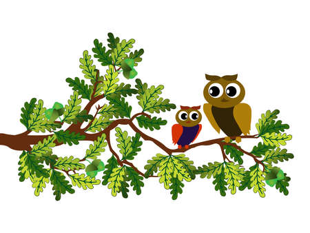 Card with two owls on branch at day.のイラスト素材