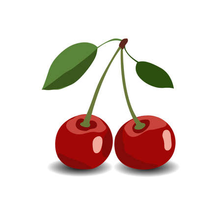 Cherry berry with leaves. Collection of different fresh cherry berry.