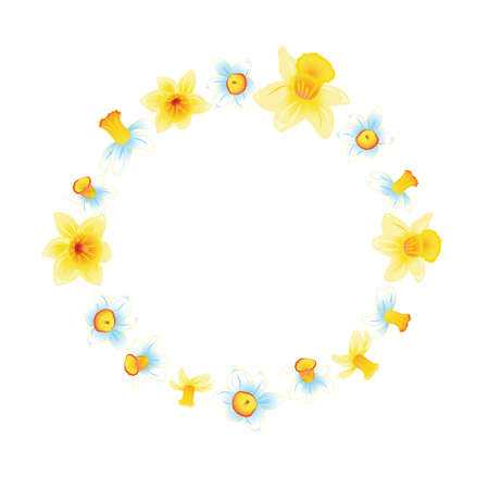 Fresh spring background with small yellow and blue narcissus. White background.のイラスト素材