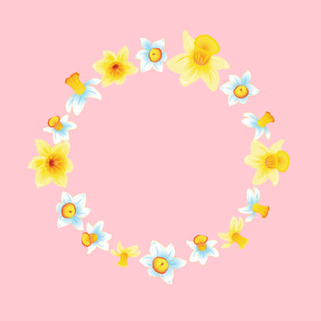 Fresh spring background with small yellow and blue narcissus. Pink background.のイラスト素材