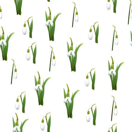 Seamless pattern with many snowdrops flowers and green leaves same sizes.のイラスト素材