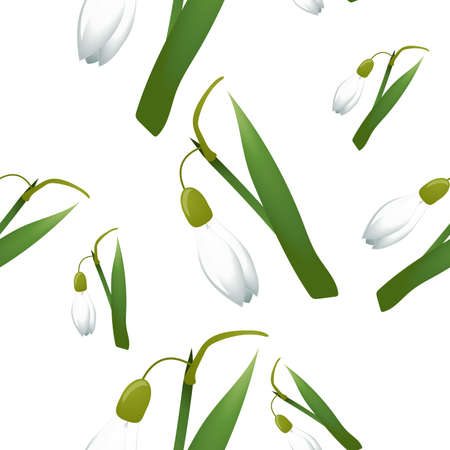 Seamless pattern with alone snowdrop flowers with green stems and leaves different sizes.のイラスト素材
