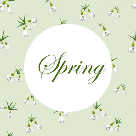 Fresh spring background with small snowdrops with green leaves.のイラスト素材