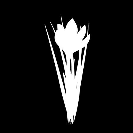 Hand drawn crocus flowers. Elegant vintage card. Black and white silhouette. Vectorのイラスト素材