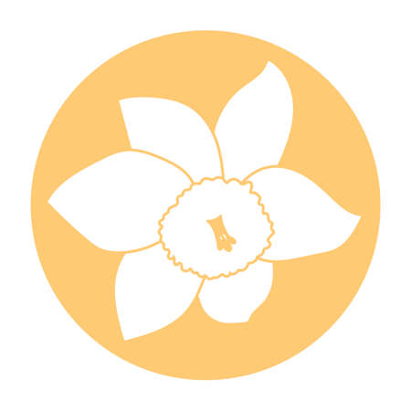 Spring flower icon. White narcissus flower. Orange round circle flat icon. Vectorのイラスト素材