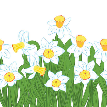 Postcard of green grass with blue and white narcissus flowers isolated on white vectorのイラスト素材
