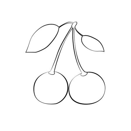 White cherry silhouette and leaves with black stroke. Flat design. Vector illustrationのイラスト素材