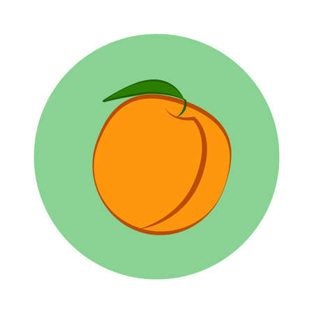 Peach fruit with leaf in green circle on a white background. Vectorのイラスト素材