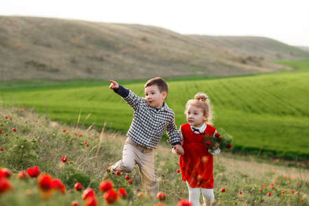 Little children are walking in a field with red flowers.の写真素材