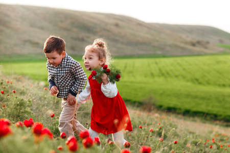 Little children are walking in a field with red flowers.の写真素材