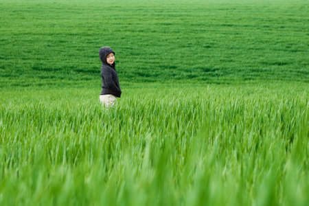 Little boy in a green field.の写真素材