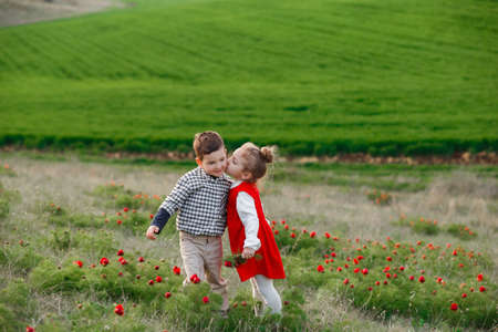 The little girl kisses the boy.の写真素材