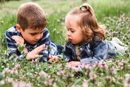 A boy and a girl are resting on the green grass in summerの写真素材