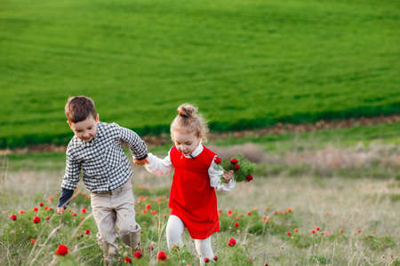 Little children are walking in a field with red flowers.の写真素材