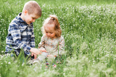 A boy and a girl are resting on the green grass in summerの写真素材