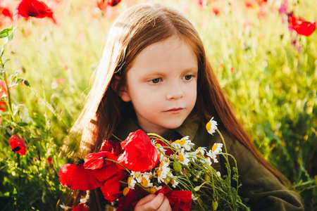 Little red-haired girl in a field with red flowers.の写真素材