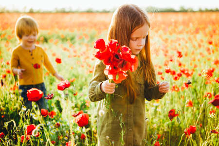 Little red-haired children pick red flowers in the field.の写真素材