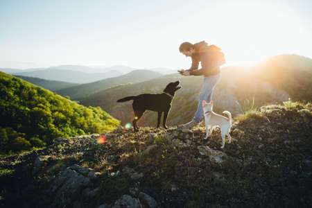 A man is playing with two dogs on top of a mountain.の写真素材