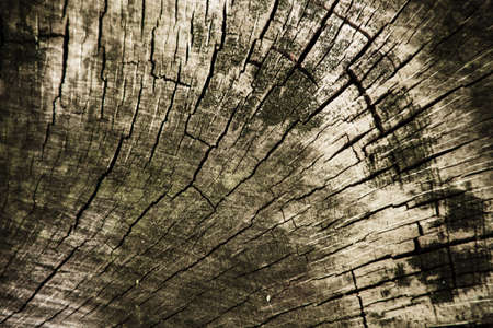 Old wood backgroundの写真素材