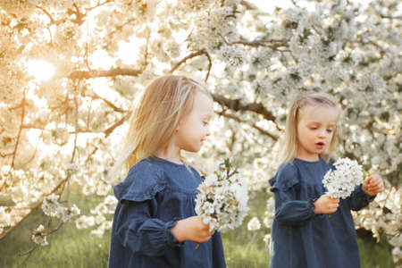 The twins are having fun in the park.の写真素材